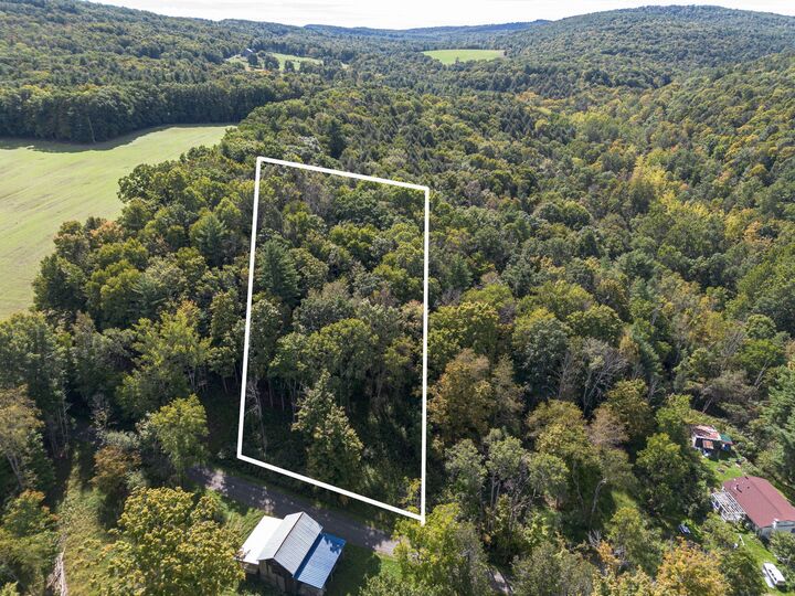 Property Photo: 434 Shipman Road NY 13812