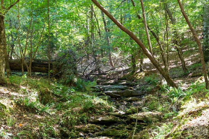 Property Photo:  0000 Hwy 215 Highway N  SC 29015 