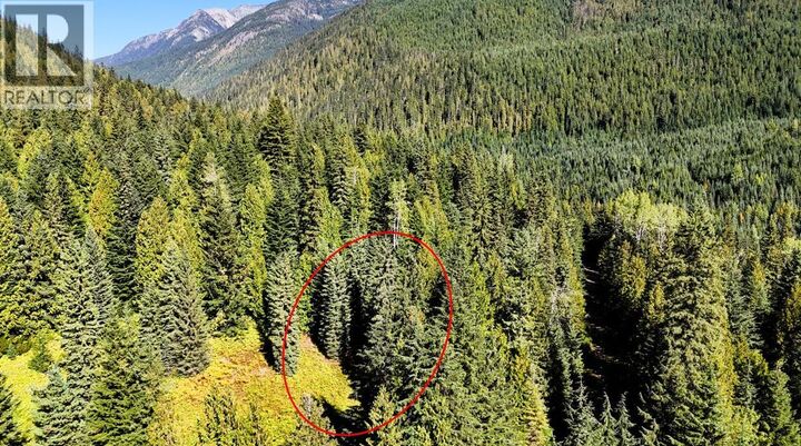 Property Photo:  1645 Ferguson Road  BC V0G 1R2 