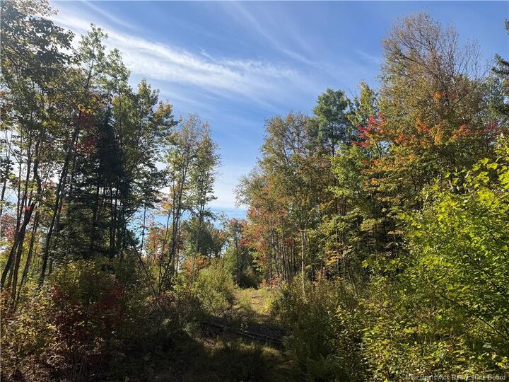 Photo de la propriété: Lot Bettsburg Road NB E9C 0A8
