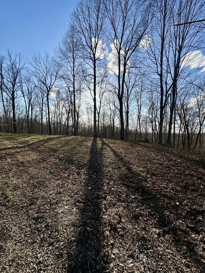 Property Photo: 5 Malone Ridge Road KY 42602