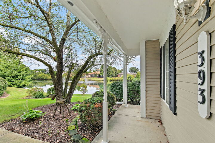 Property Photo:  393 Lowell Drive 393  IL 60177 
