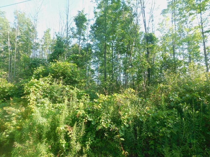 Property Photo:  0 Strops Road  NY 14892 