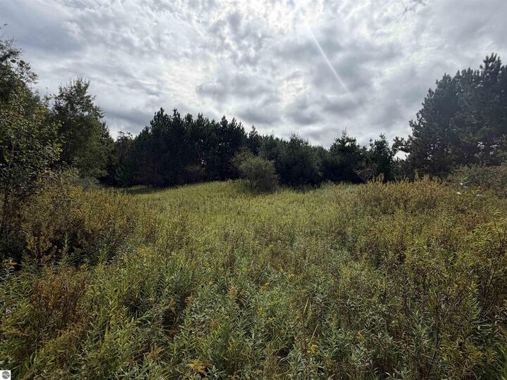 Property Photo: V/L 185th Avenue MI 49655