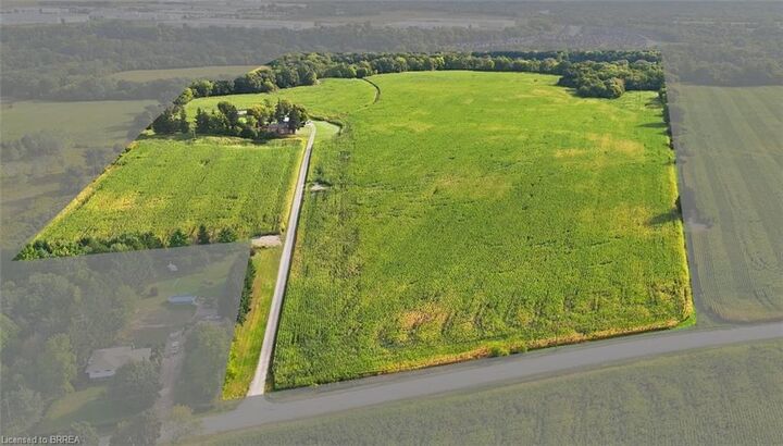 Property Photo:  67 Pottruff Road  ON N3T 5L7 