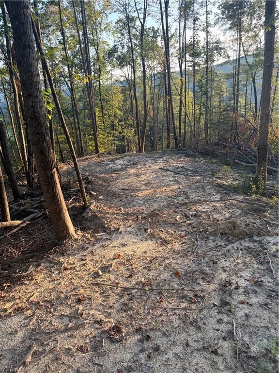 Property Photo:  Tbd Lot 2 Old Nc Highway 16  NC 28651 