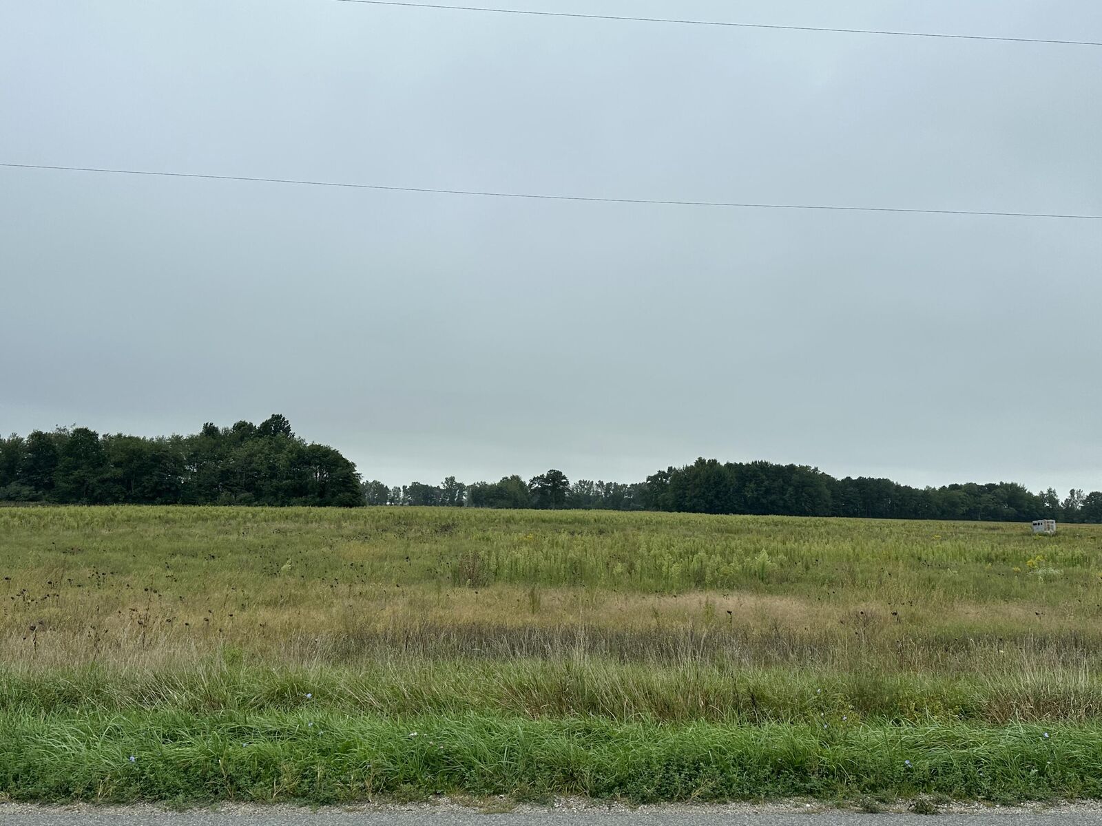 Property Photo: 10124 New Holland Street MI 49464