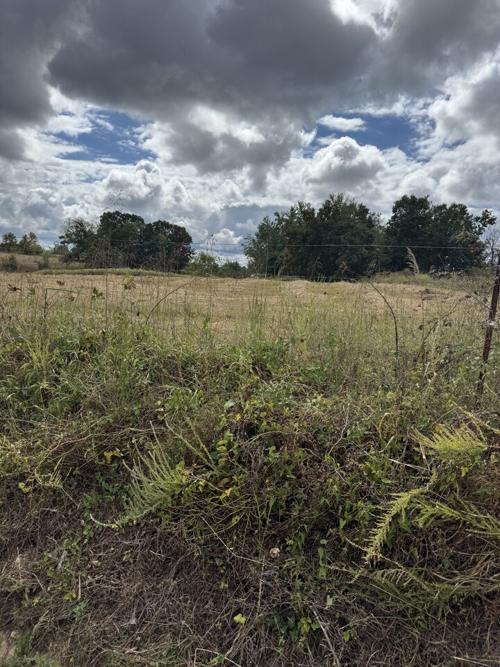 Property Photo:  201 Perrigo Ln  TN 37083 