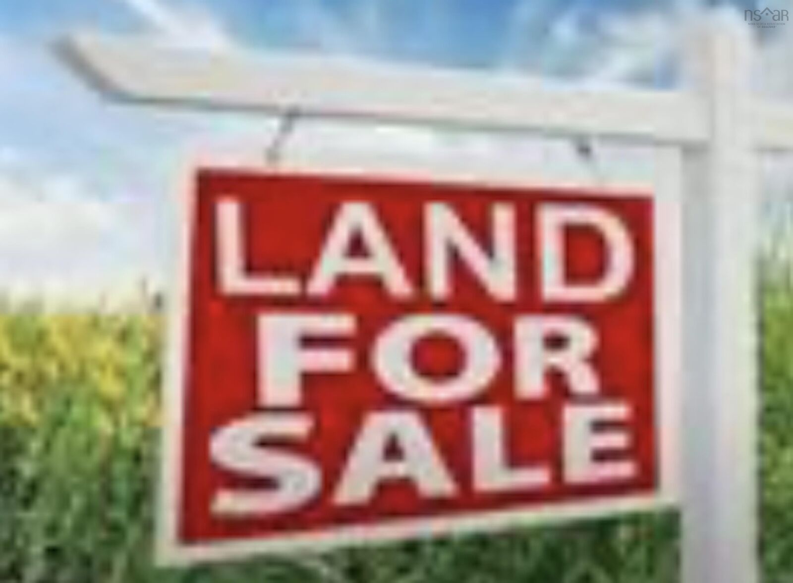 Property Photo:  Lot Highway 10  NS B0R 1H0 