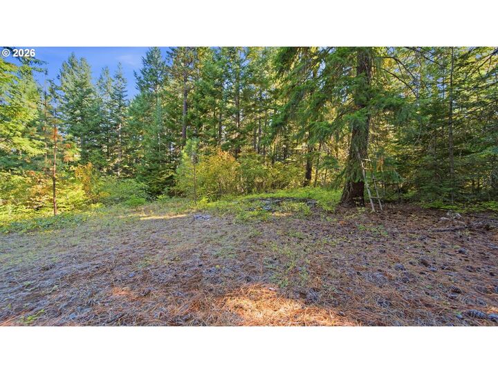Property Photo:  7 Mill Rd  WA 98602 