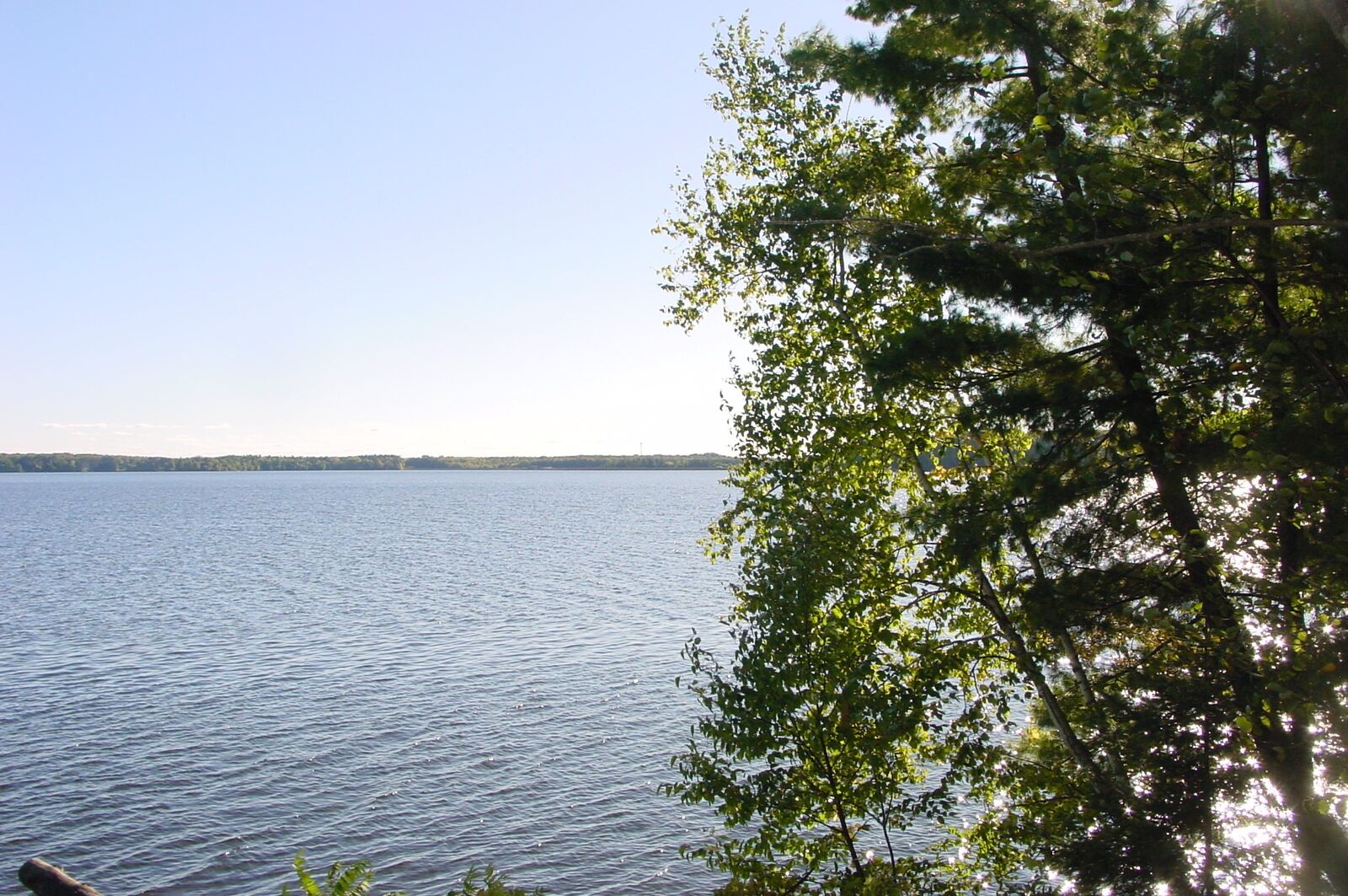 Property Photo: Lot 6 Mae West Road WI 54848