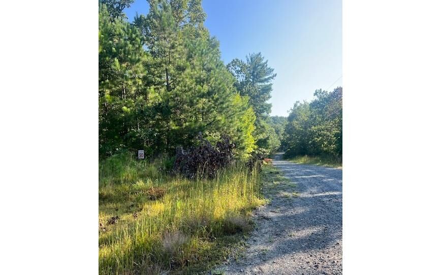 Property Photo:  Lt 50 White Pine Ridge  GA 30540 