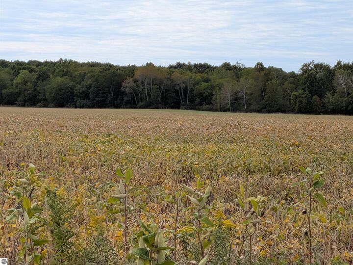 Property Photo:  6571 W Saint Charles Road  MI 48801 