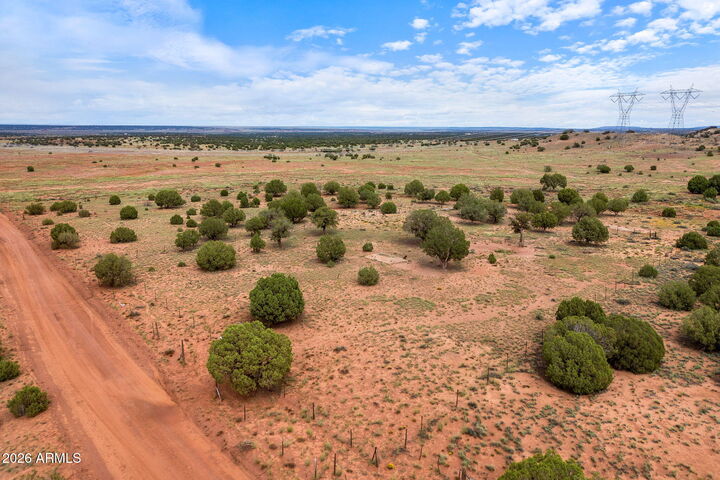 Property Photo:  316 County Road 9211 -- 443  AZ 85924 