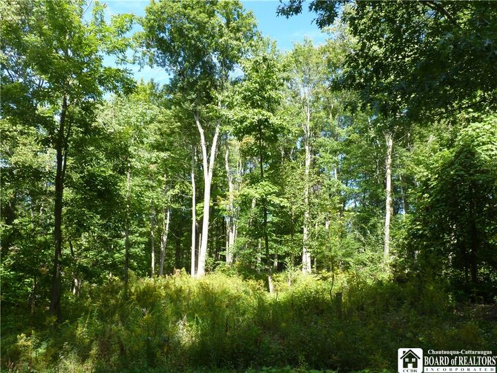 Property Photo: Scandia Drive N NY 14712