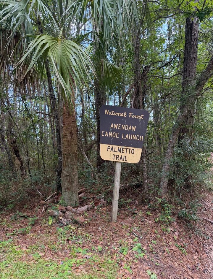 Property Photo:  1017 Rosa Green Road  SC 29429 