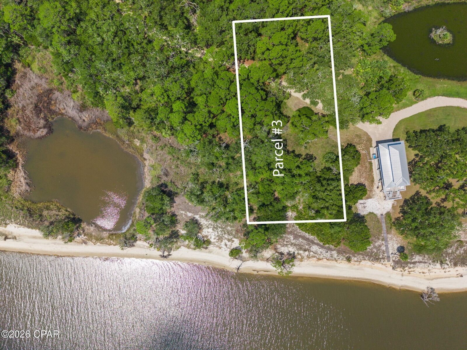 Property Photo: Tbd Pruett Road FL 32328