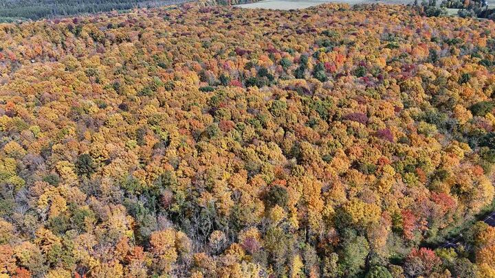 Property Photo:  W11779 County Road W  WI 54555 