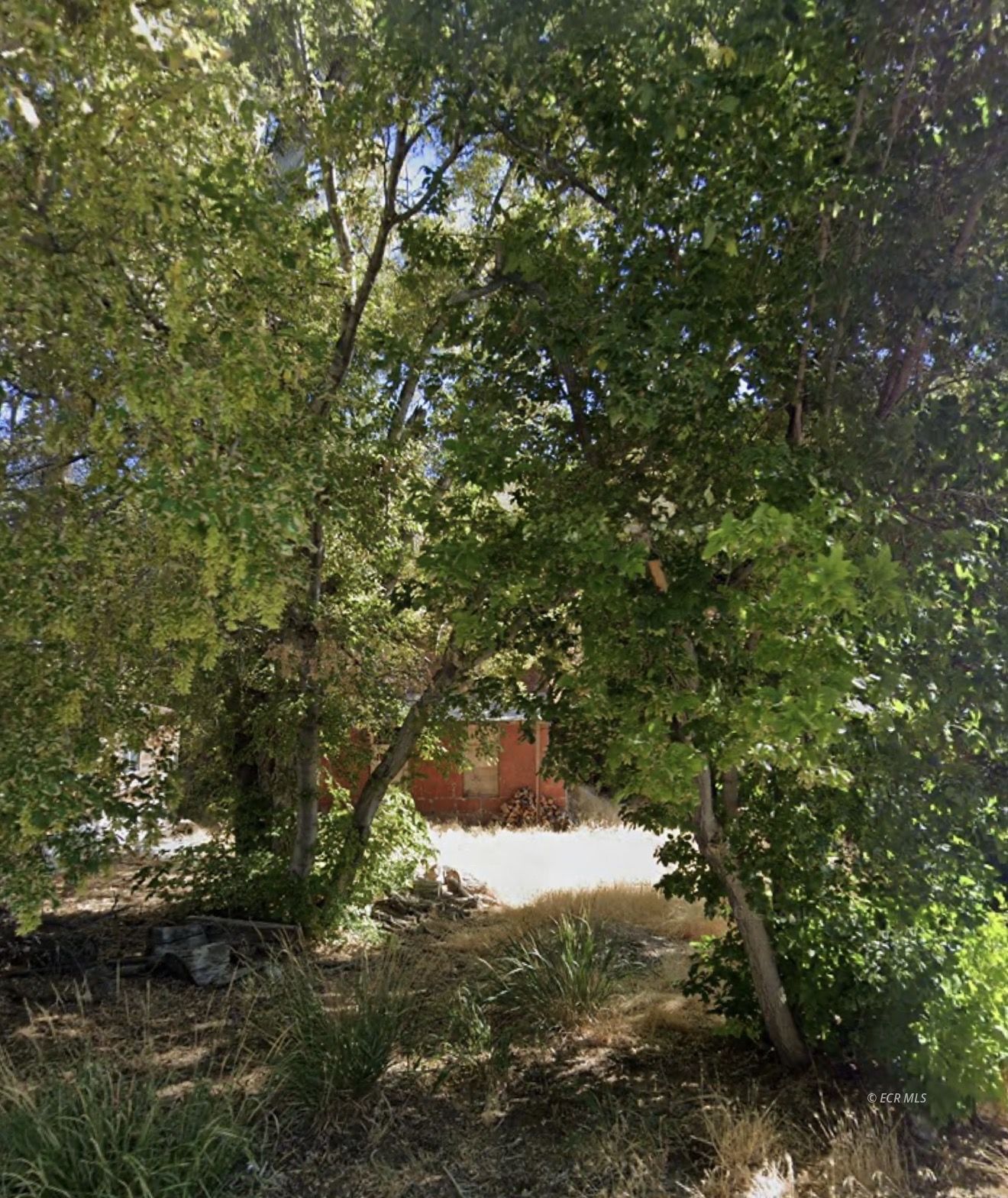 Property Photo: 31 N Spring Street NV 89316