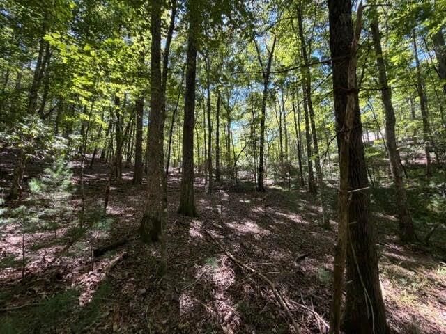 Property Photo:  305 Seneca Drive  GA 30540 