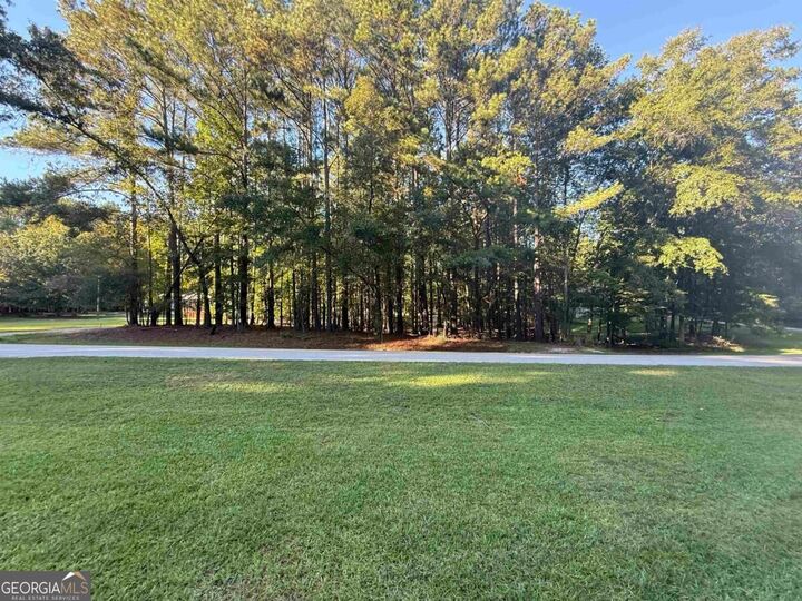 Property Photo: 215 Rockville Springs Drive GA 31024