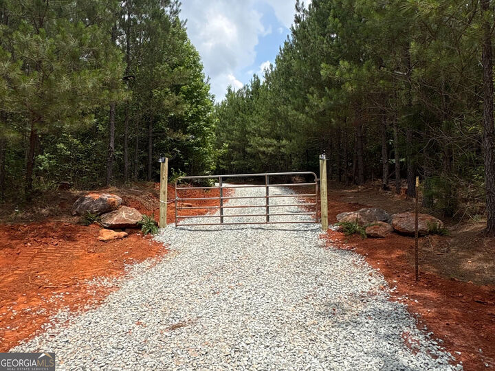 Property Photo:  132 Acres Carlisle Gap Rd  GA 31836 