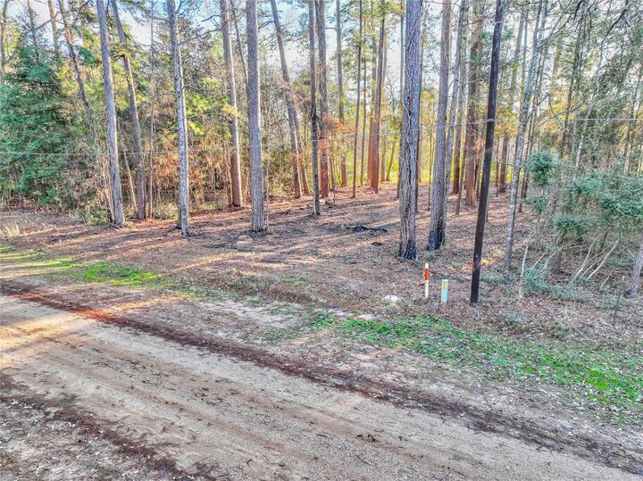 Property Photo: 171 Pine Shadow Street TX 77331