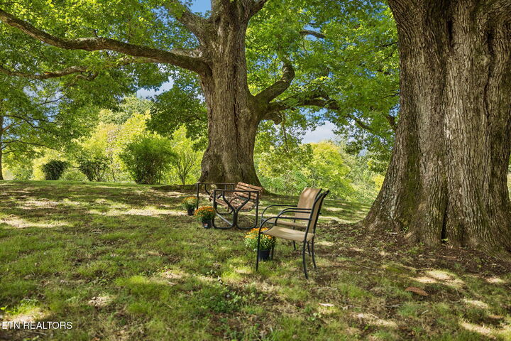 Property Photo:  103 Phelps Rd  TN 37772 