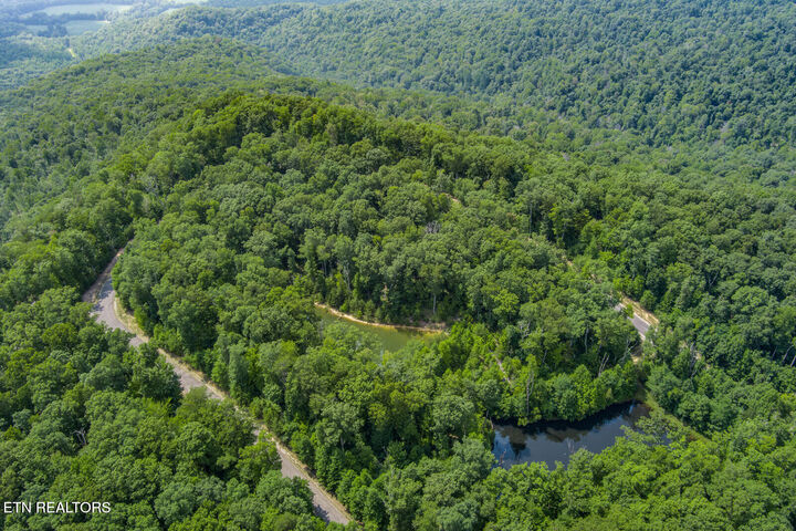 Property Photo:  119 Westridge Tr  TN 38574 