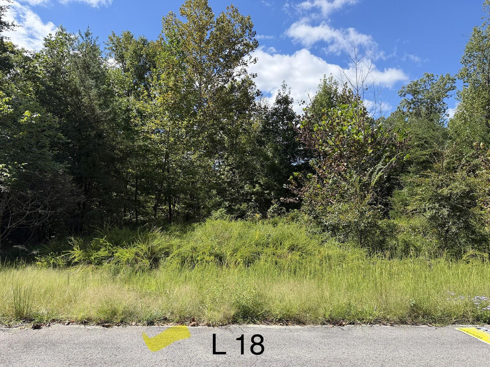 Property Photo: 0 E Taxiway Drive Lot 18 KY 42602