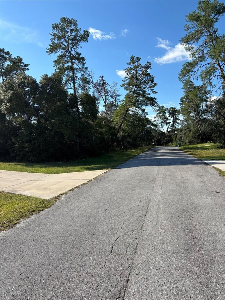Property Photo:  0 SW 171st Street  FL 34473 