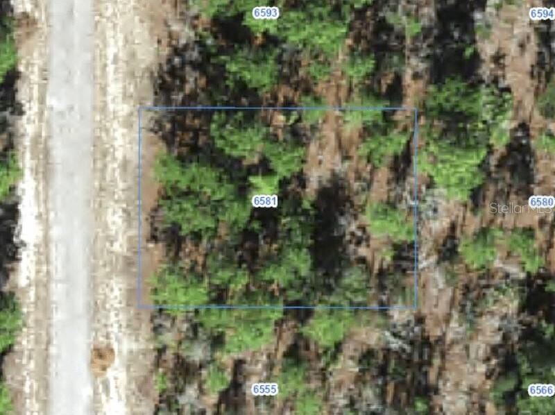 Property Photo: 6581 N Winlock Terrace FL 34433