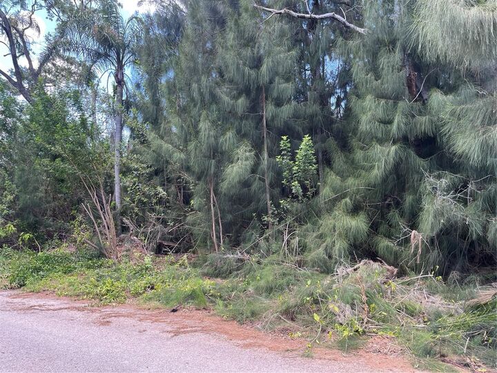 Property Photo:  Legion Drive  FL 34689 