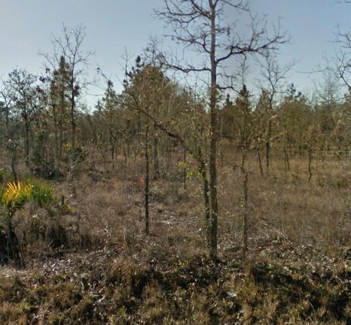 Property Photo: SE 23rd Place FL 32668
