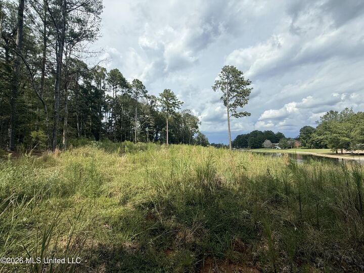 Property Photo: 102 Cedar Ridge Drive MS 39046