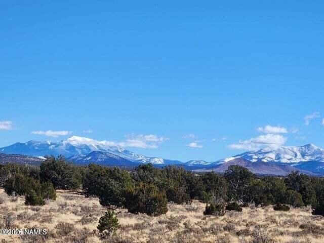 Property Photo:  1282 Watchtower, Lot B - 12 Ac  AZ 86046 