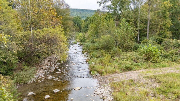Property Photo: 054 Parcel Route 249 (Land) PA 16935