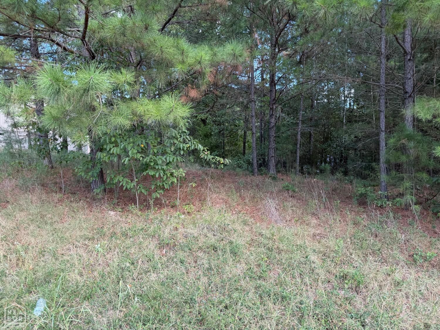 Property Photo:  1003 N 75th  AR 72450 