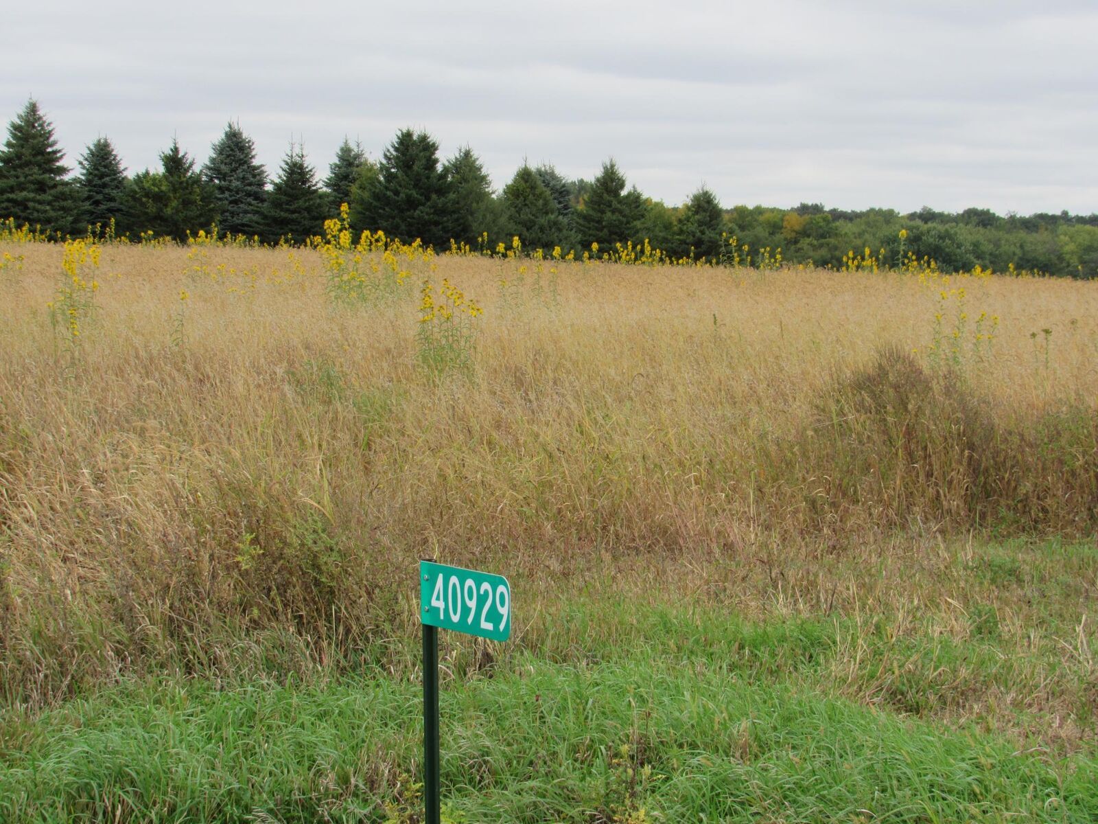 Property Photo: 40929 95th Street MN 56013