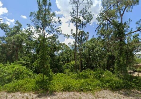 Property Photo: 2117 Irving Avenue FL 33920