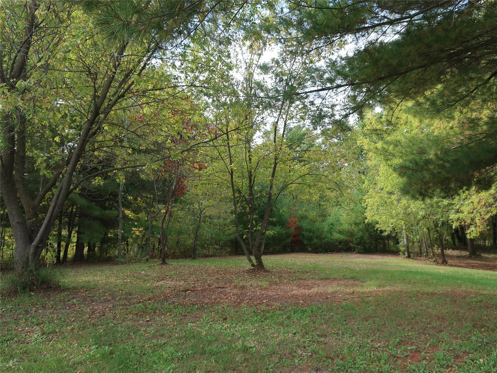 Property Photo:  Tbd Old 35  WI 54872 