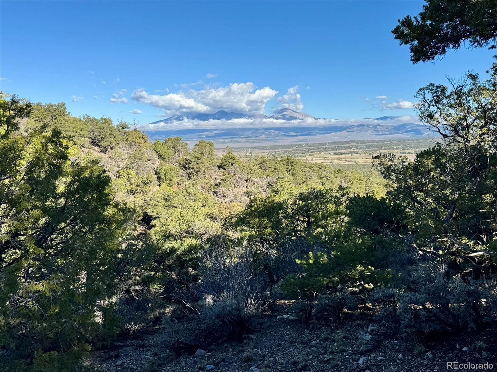 Property Photo:  Lot 2336 Sandoval Road  CO 81133 