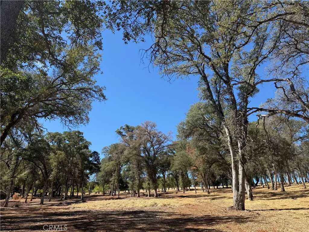 Property Photo: 2045 Eastlake Dr. CA 95451