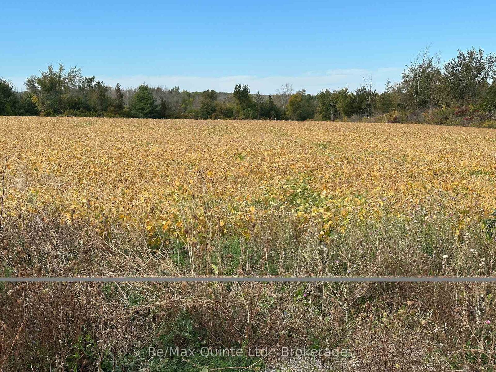 Property Photo:  1807 Marysville Road  ON K0K 2N0 