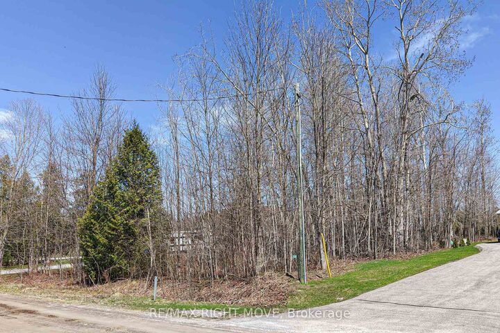 Property Photo:  3585 Peter Street  ON L0K 1B0 