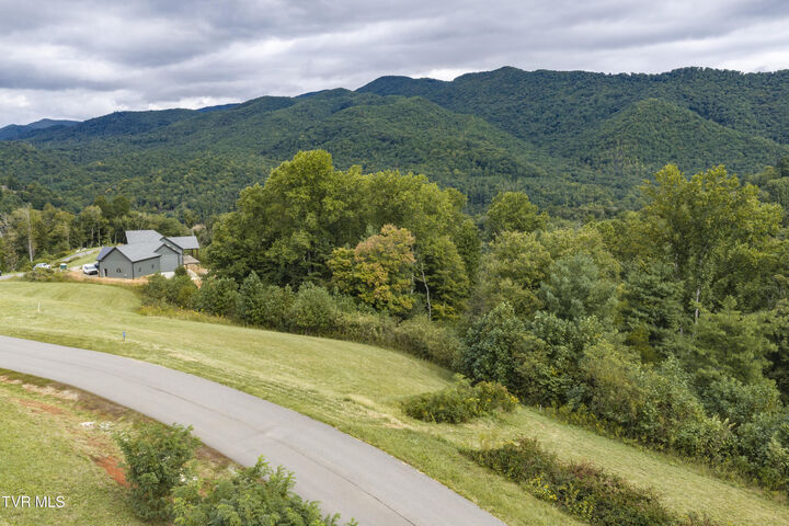 Property Photo:  Lot 29 Cowan Town Road Lot 29  TN 37640 