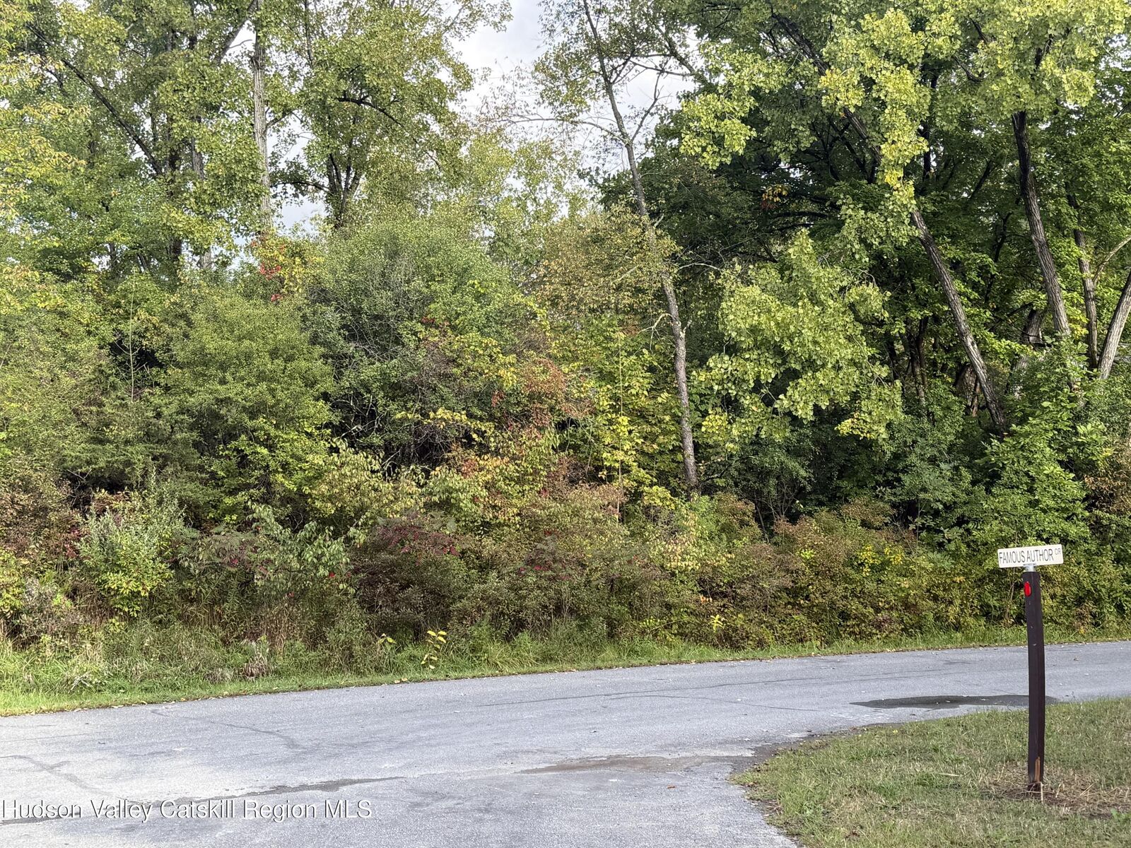 Property Photo:  1248 Sleepy Hollow  NY 12015 