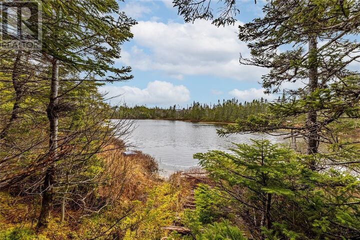 Property Photo:  115 Deer Park Road  NL A0A 2R0 