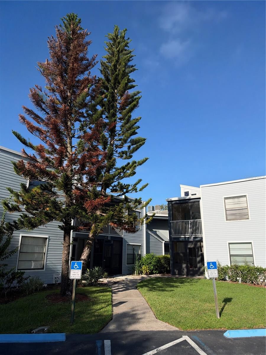 Property Photo:  3658 Southpointe Drive U7  FL 32822 