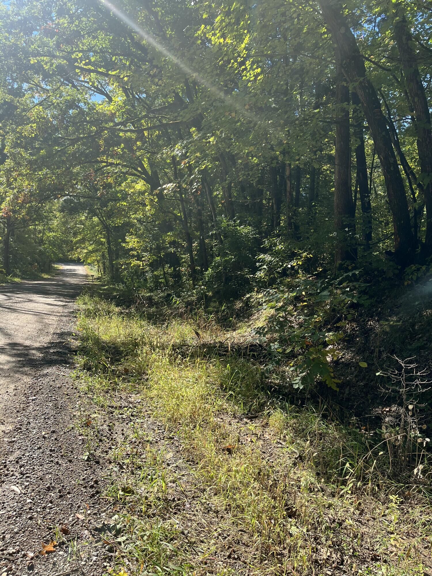 Property Photo:  Vl Sweeter Road  MI 49457 